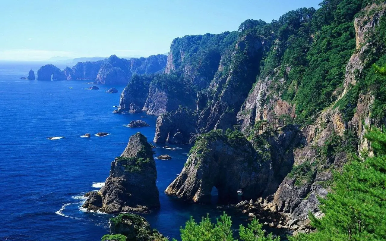节能全自动环保